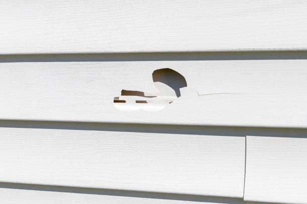 Trusted Ackley, IA Siding Experts