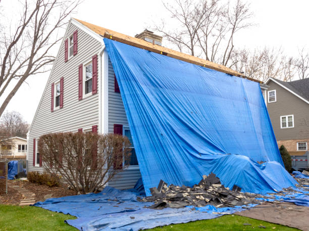 Affordable Siding Repair and Maintenance Services in Ackley, IA